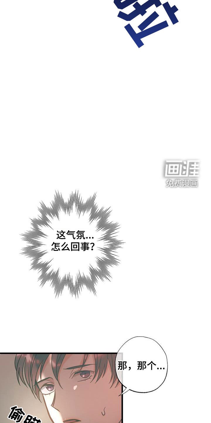 第23章：纠结