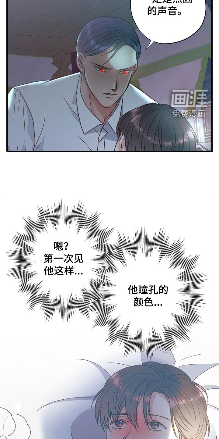 第23章：纠结