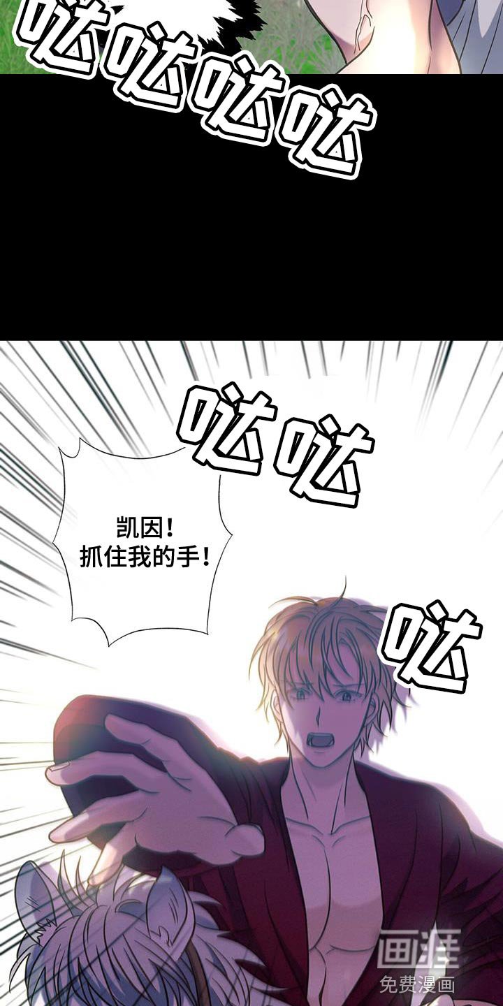 第33章：真心