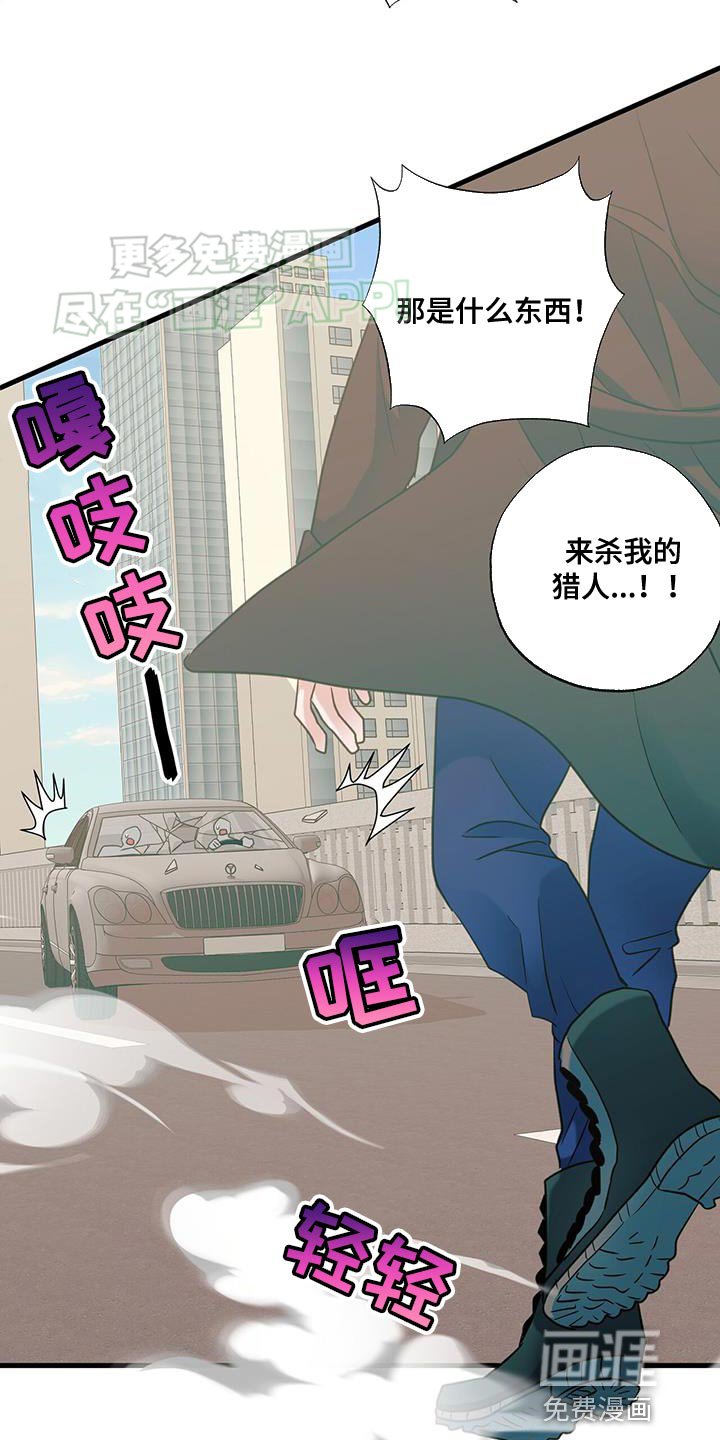 第37章：挑衅