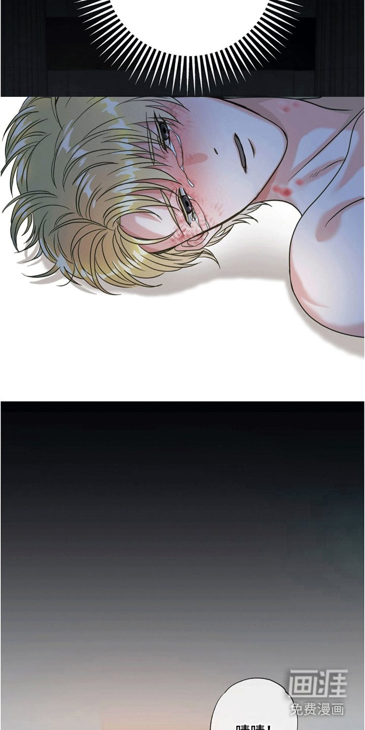 第4章：作出决定