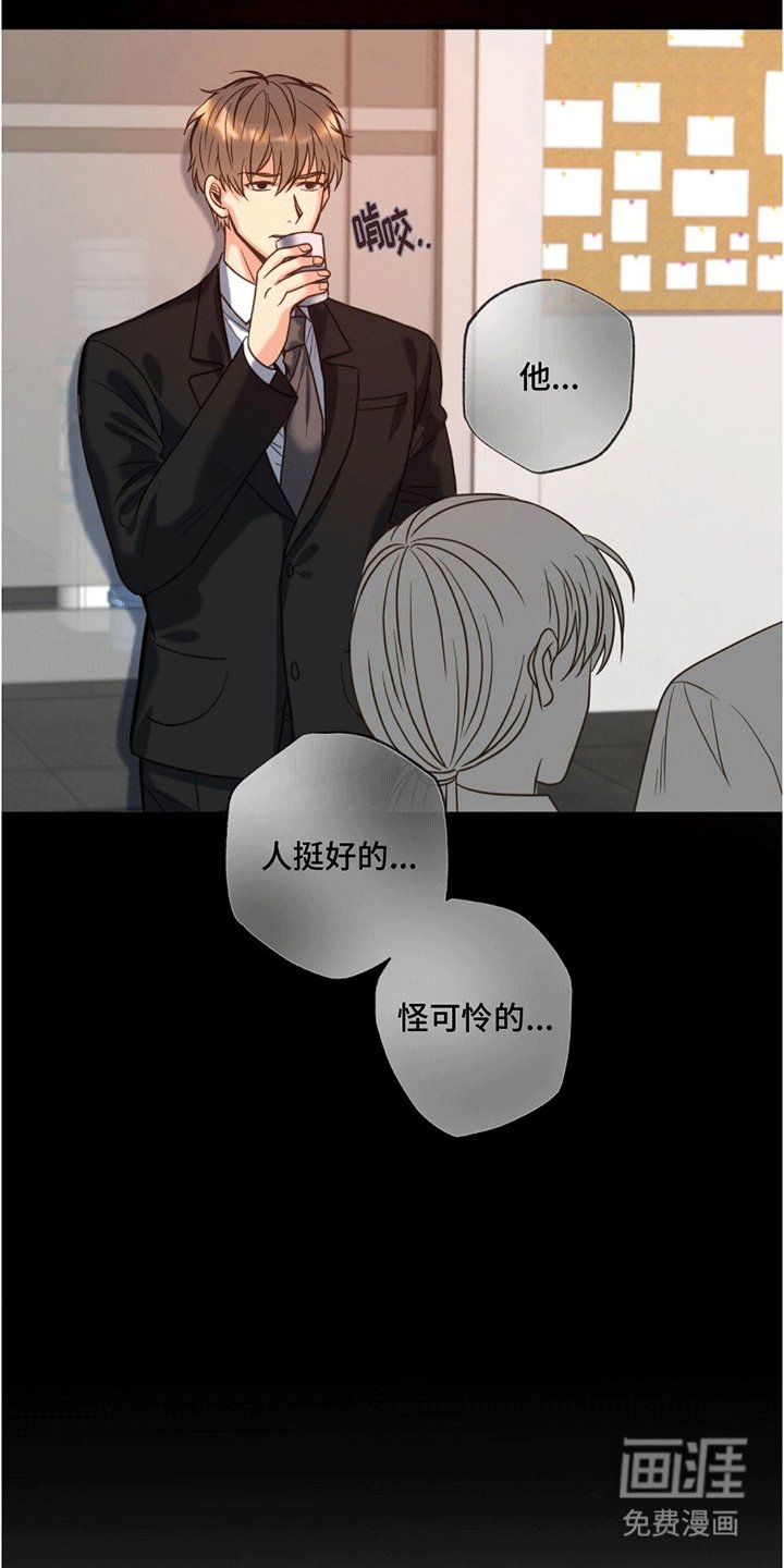 第4章：作出决定