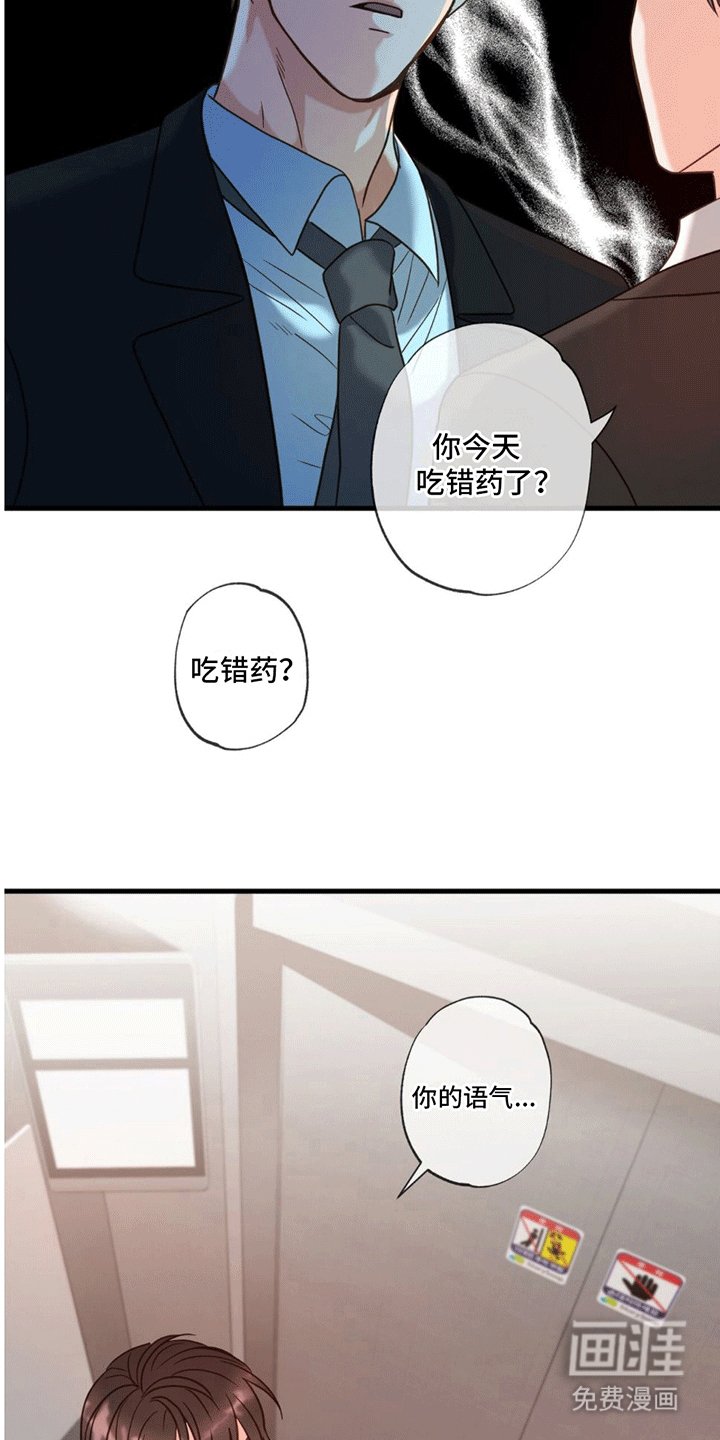第4章：作出决定