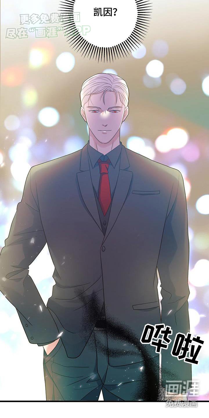 第40章：没看错