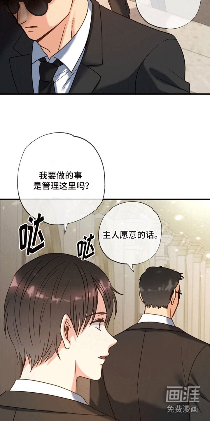 第5章：照顾