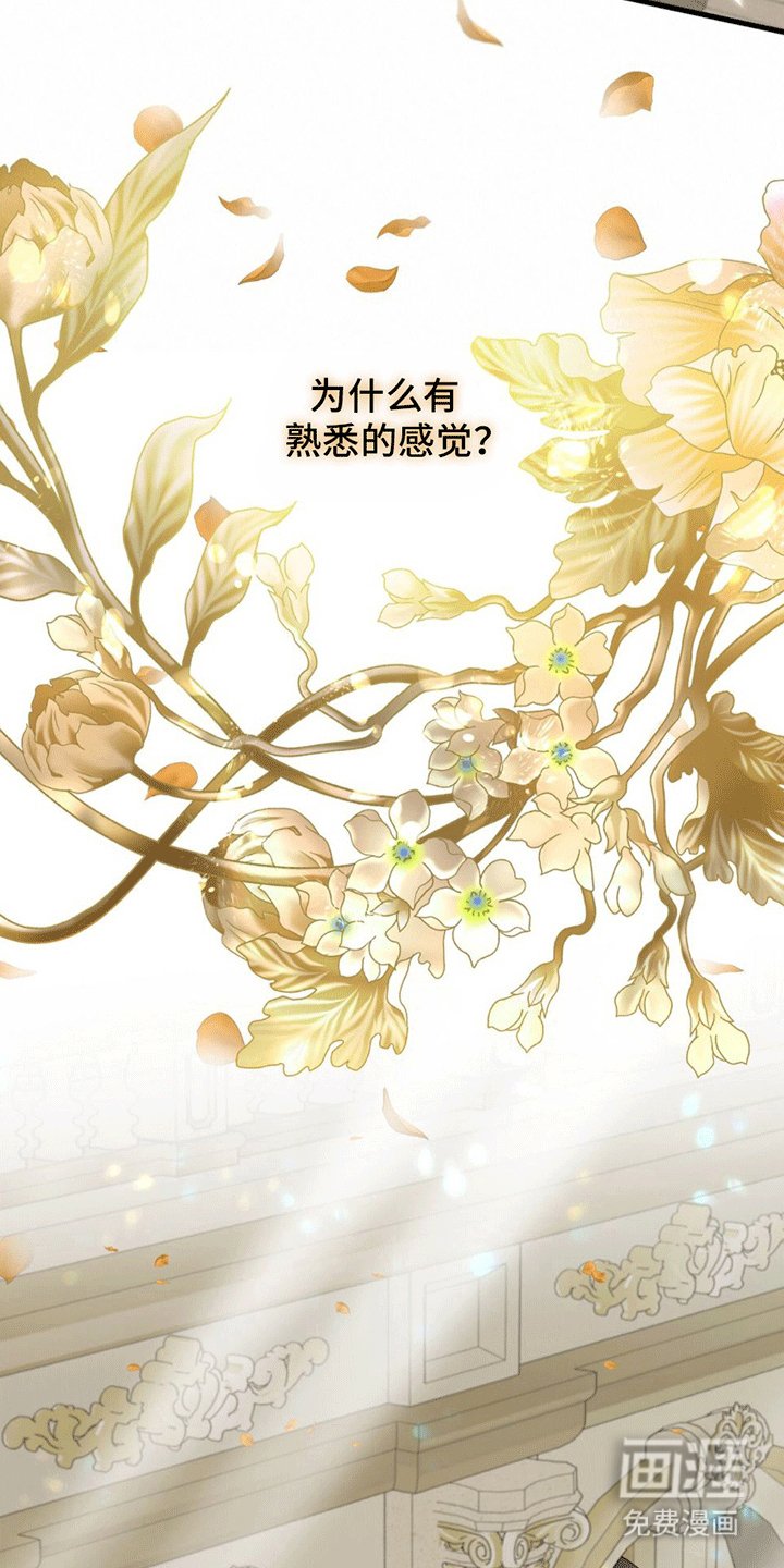 第5章：照顾