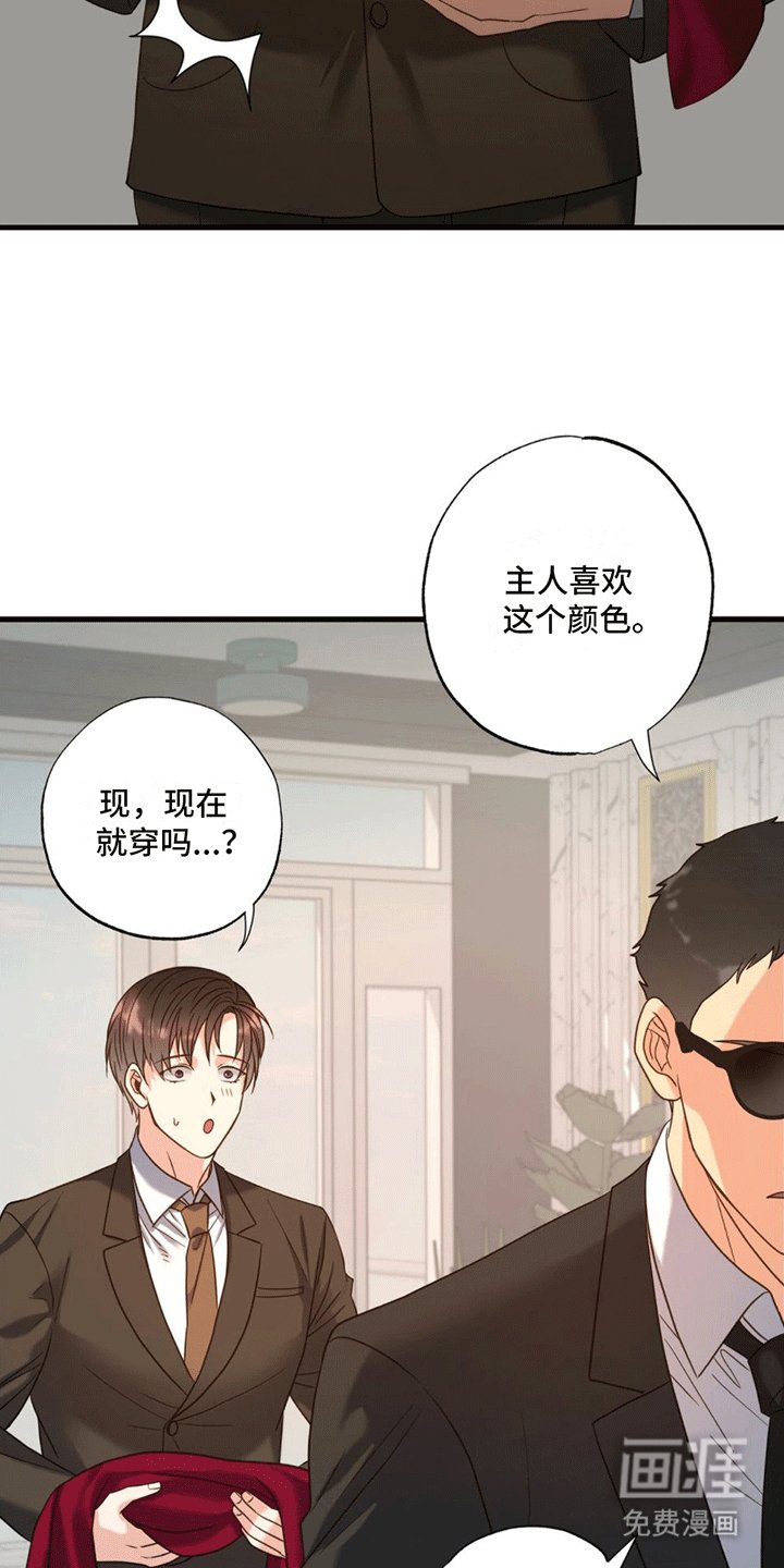 第5章：照顾