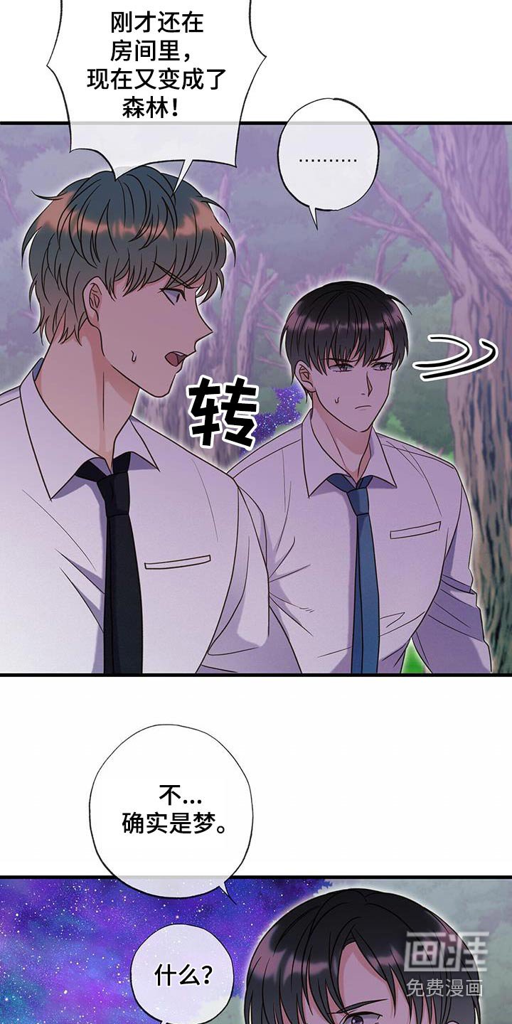 第50章：我的梦