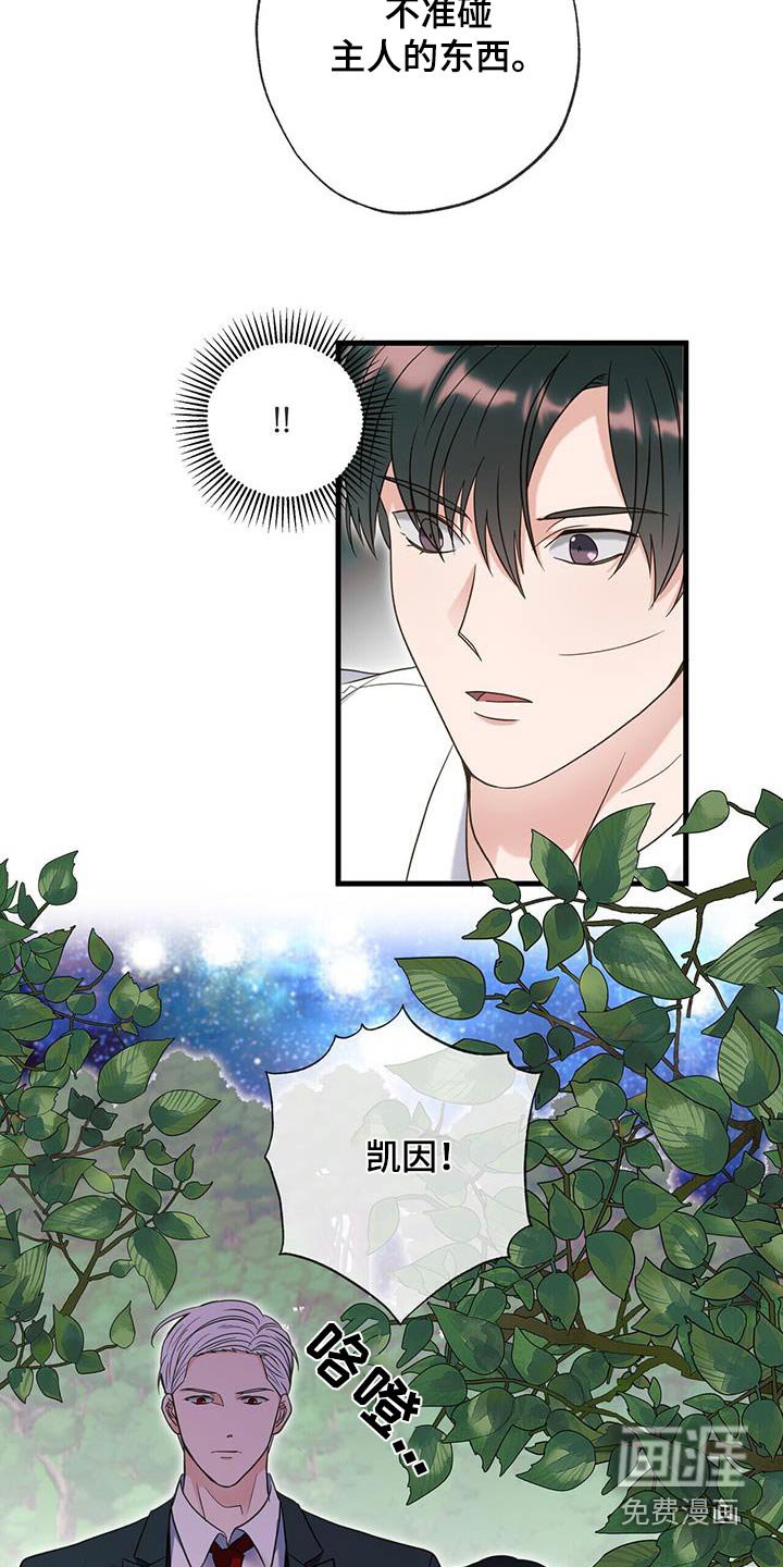 第54章：有人