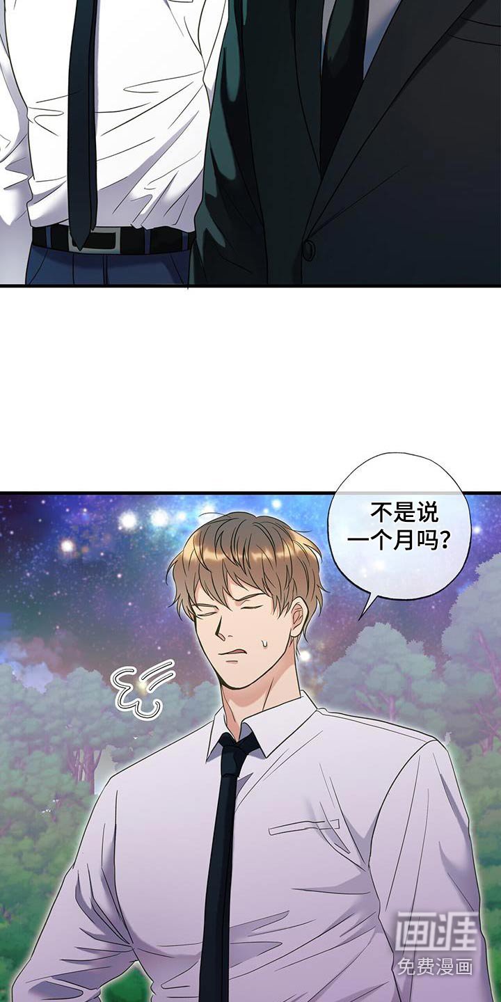 第54章：有人