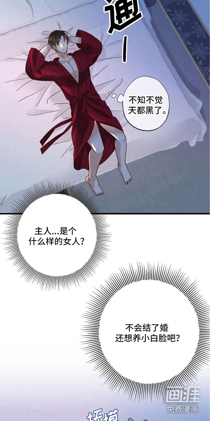 第6章：力量回归