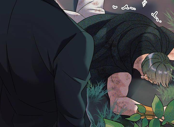 第60章：寻找