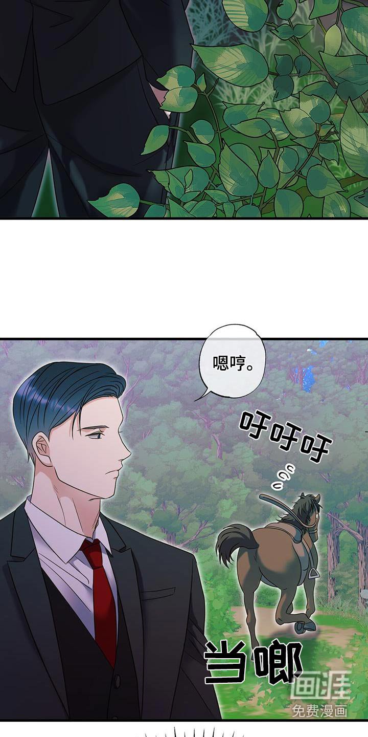 第60章：寻找