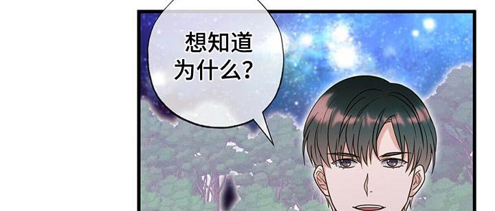 第63章：预言