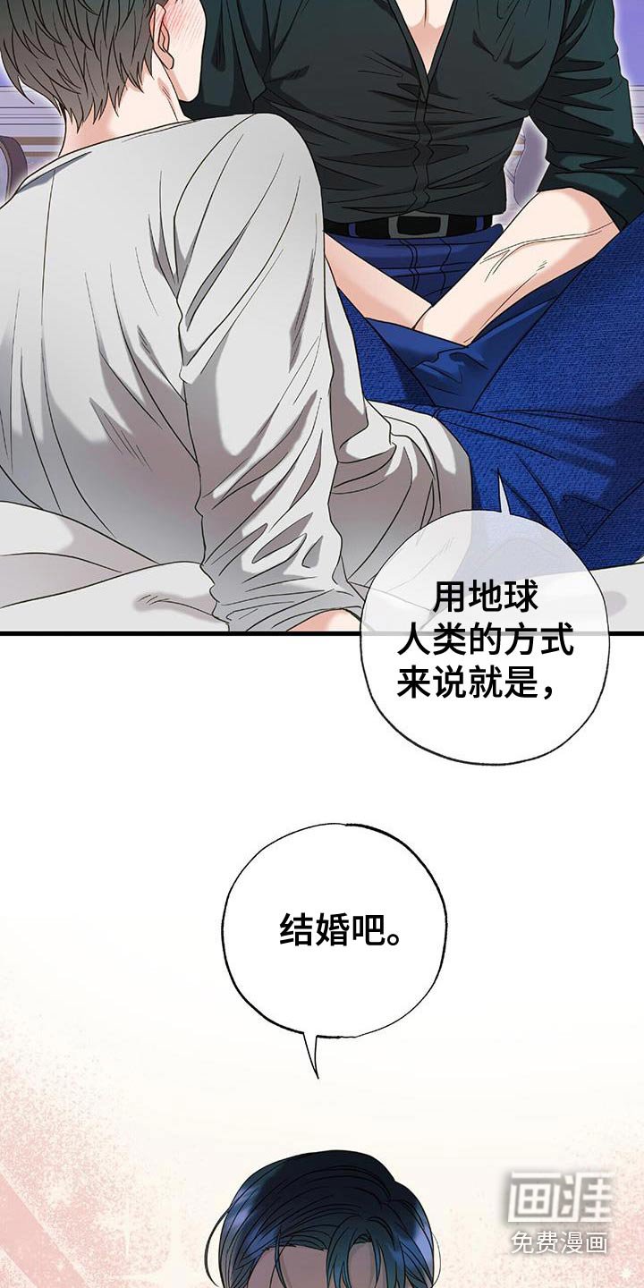 第77章：我们结婚吧