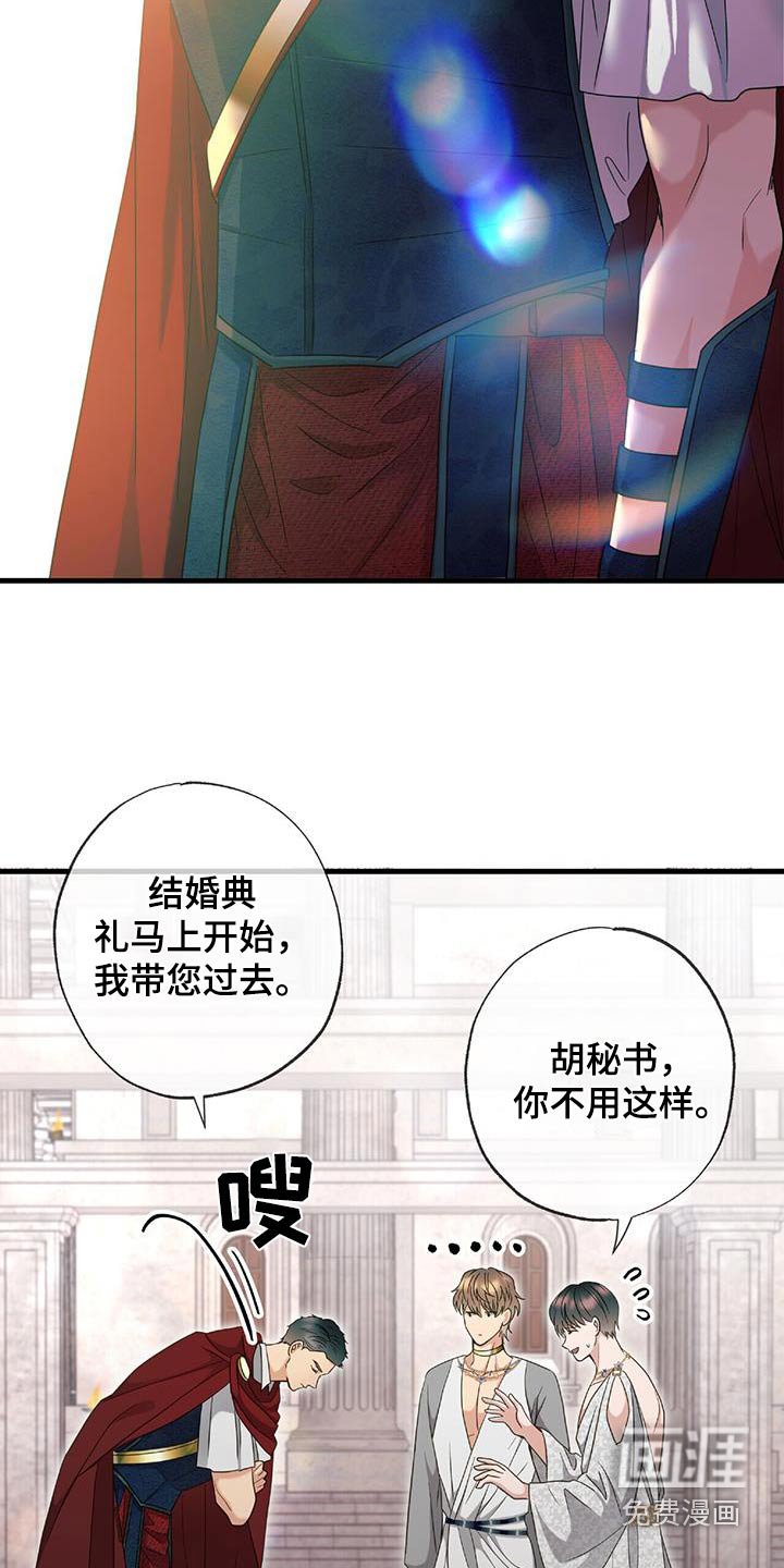 第79章：结婚的日子