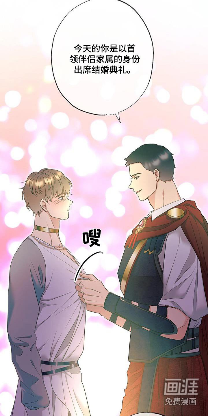 第79章：结婚的日子