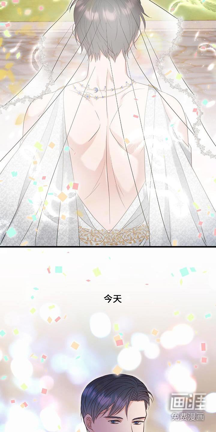 第79章：结婚的日子