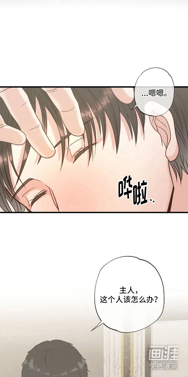 第8章：发烧