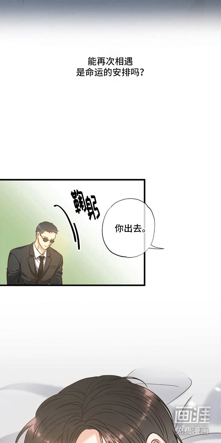 第8章：发烧