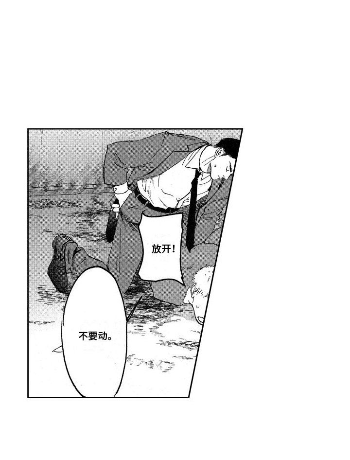 第1章：抓捕