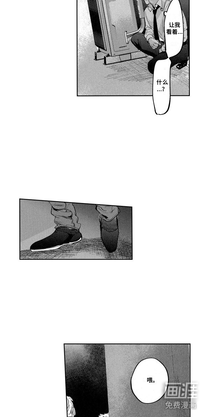 第13章：发现