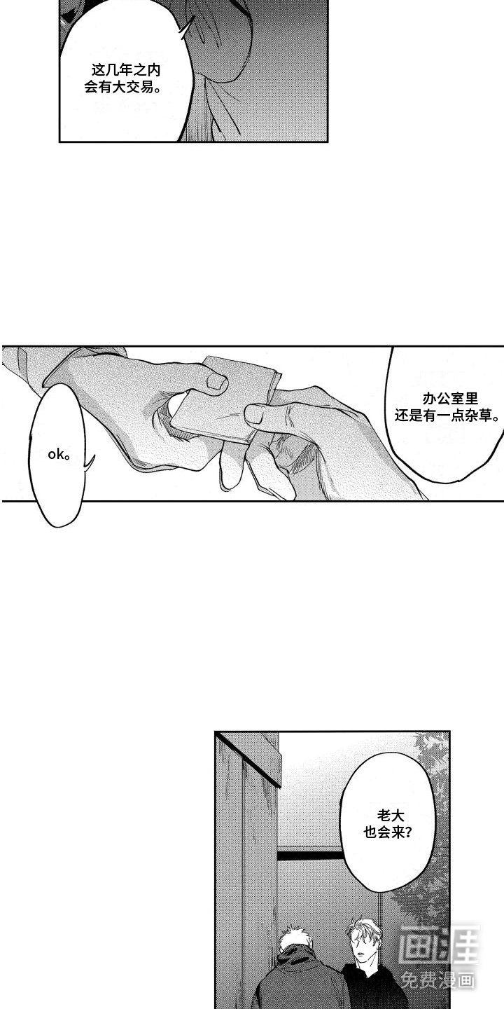 第13章：发现