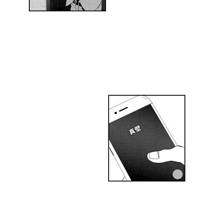 第17章：钓鱼执法