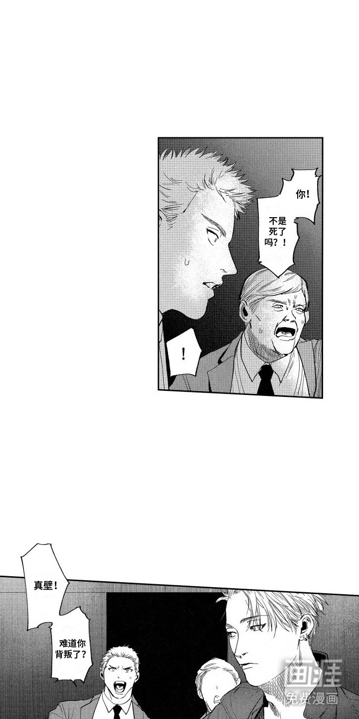 第20章：水落石出