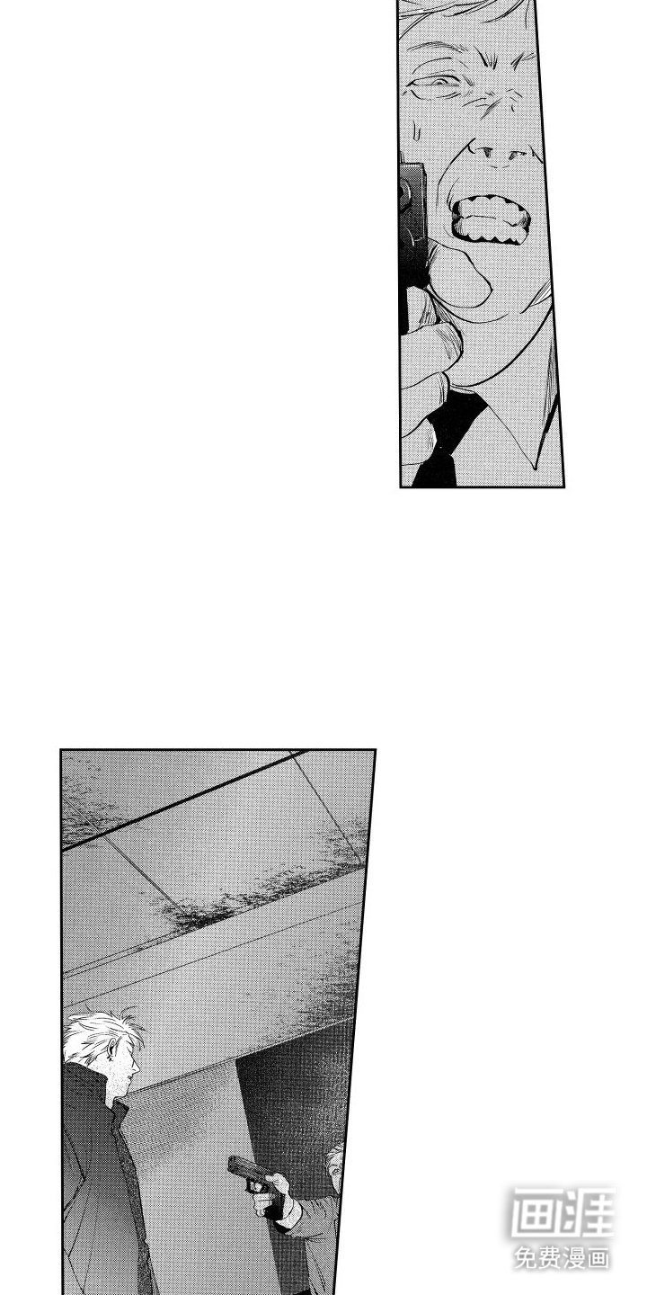 第20章：水落石出