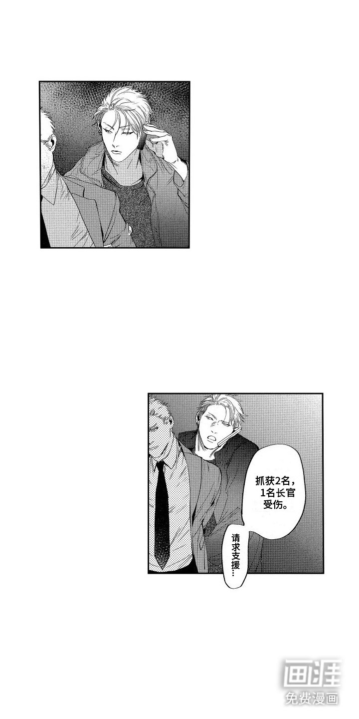 第20章：水落石出
