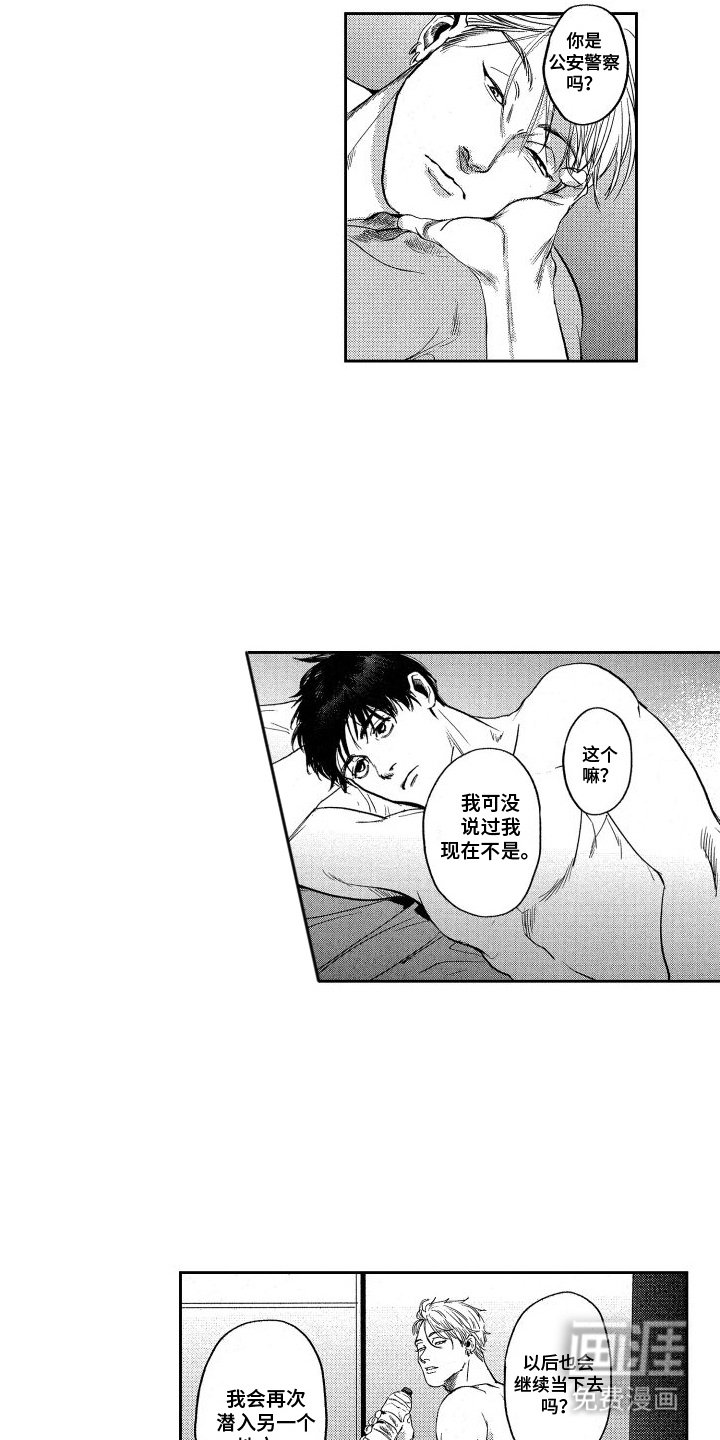 第21章：未来的打算