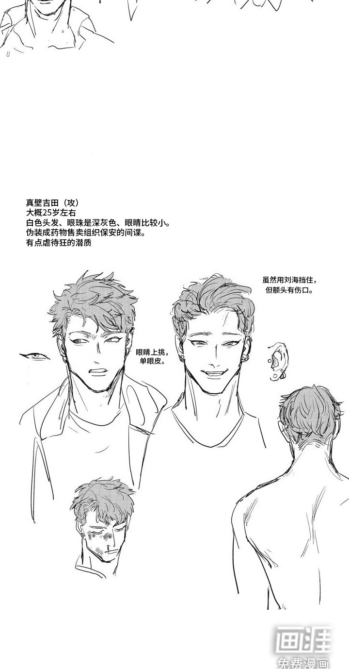 第21章：未来的打算