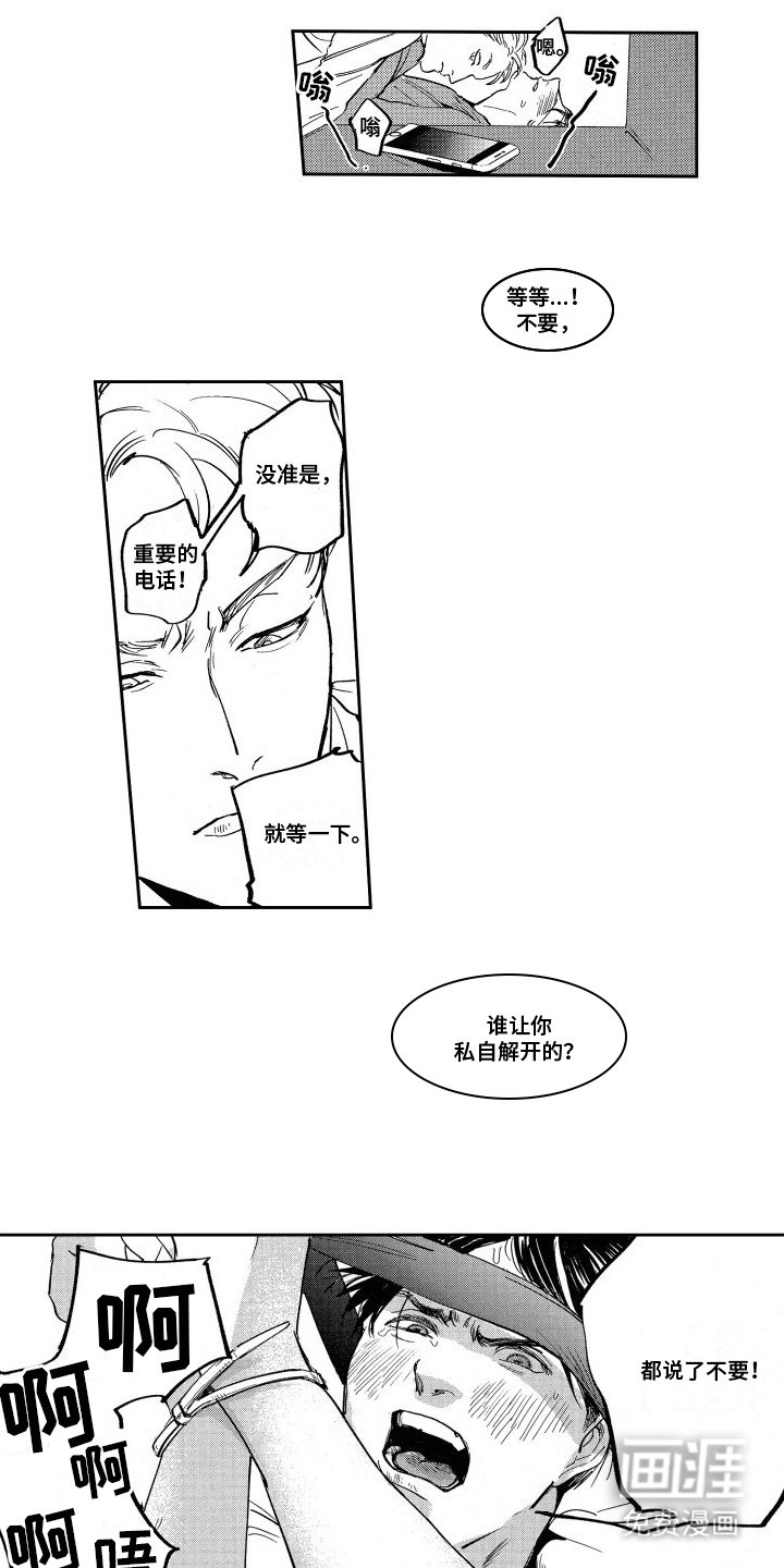 第8章：怀疑
