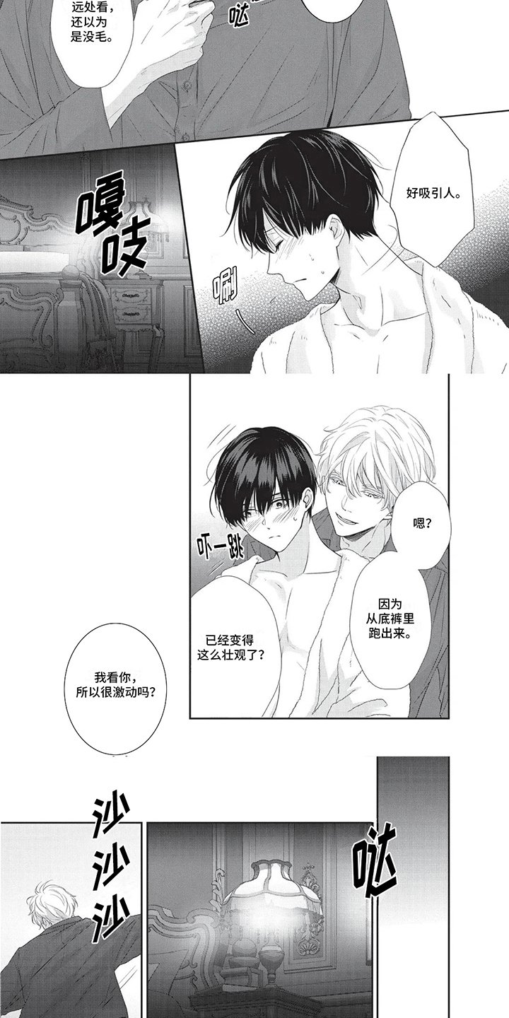 第3章：圈套