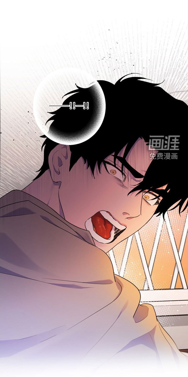 第15章：双重人格