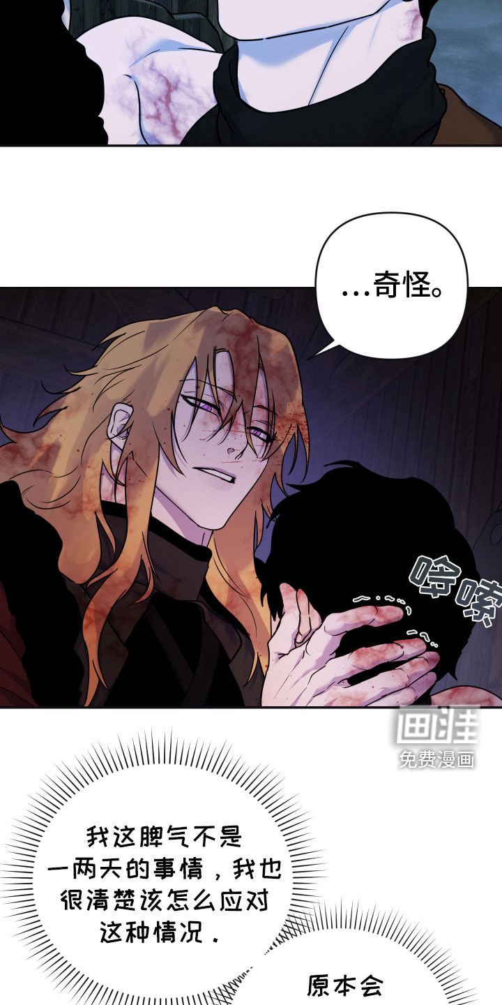 第21章：奇怪