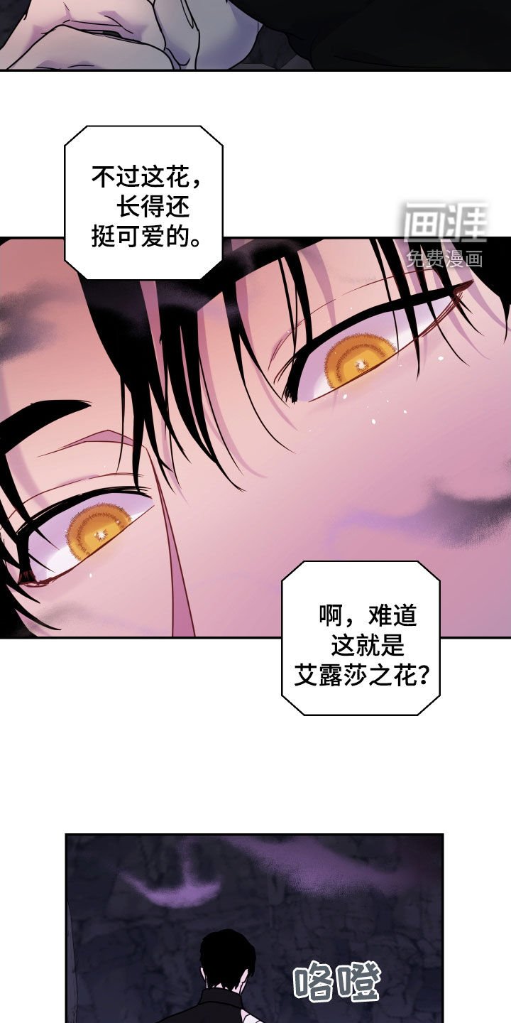 第32章：花香