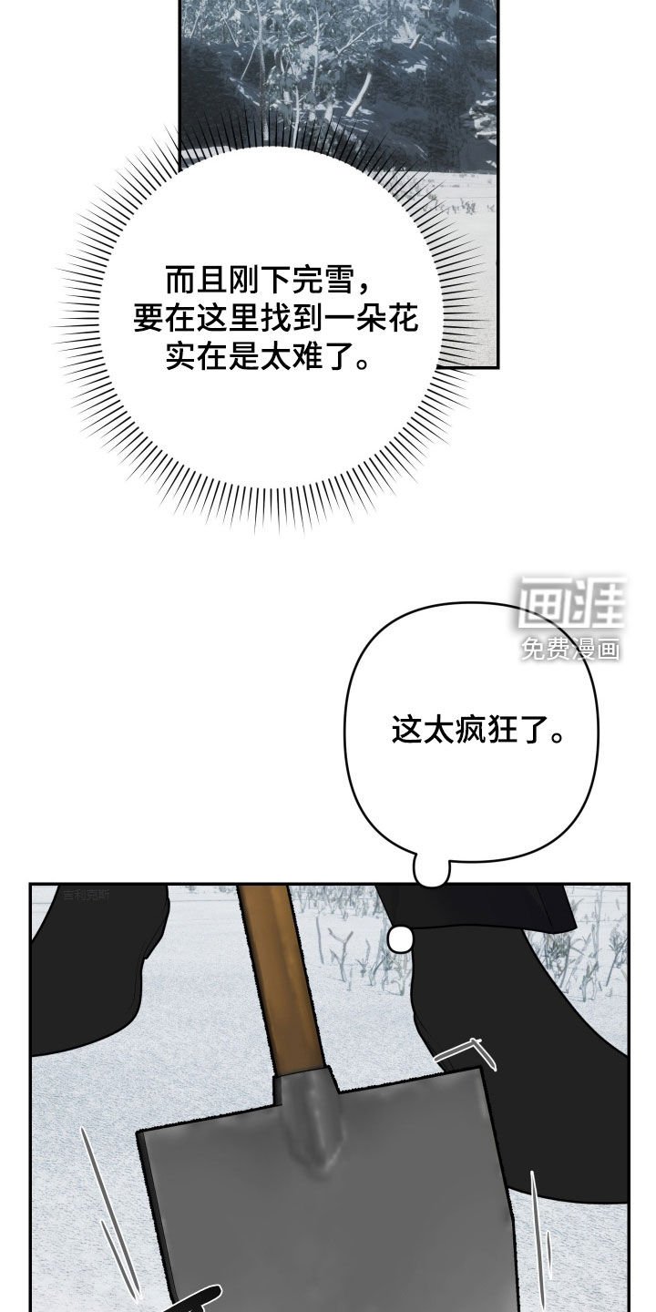 第44章：【第二季】小村落