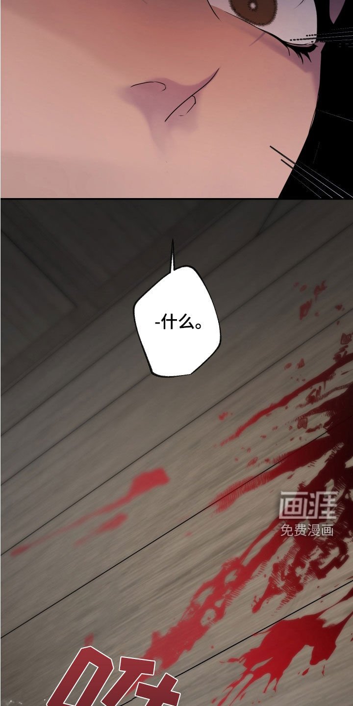 第46章：【第二季】奇怪的组合
