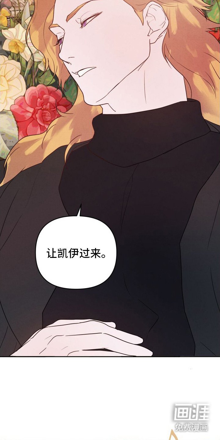第6章：没有头绪