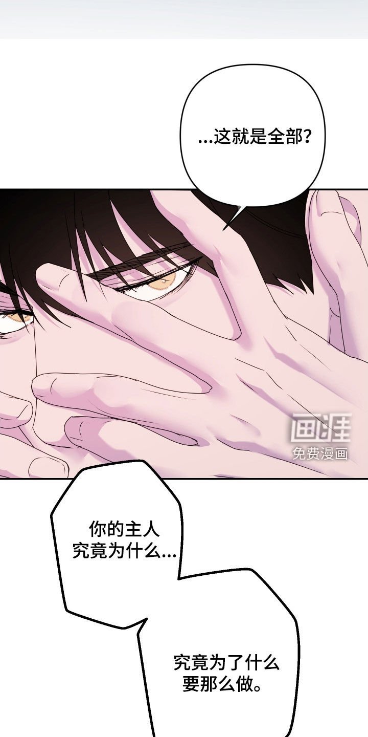 第63章：【第二季】怀孕