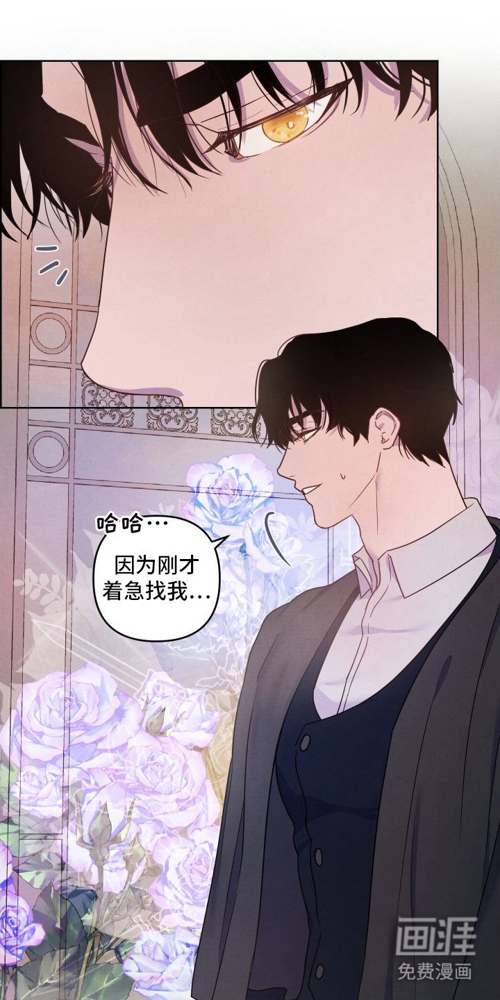 第9章：印象
