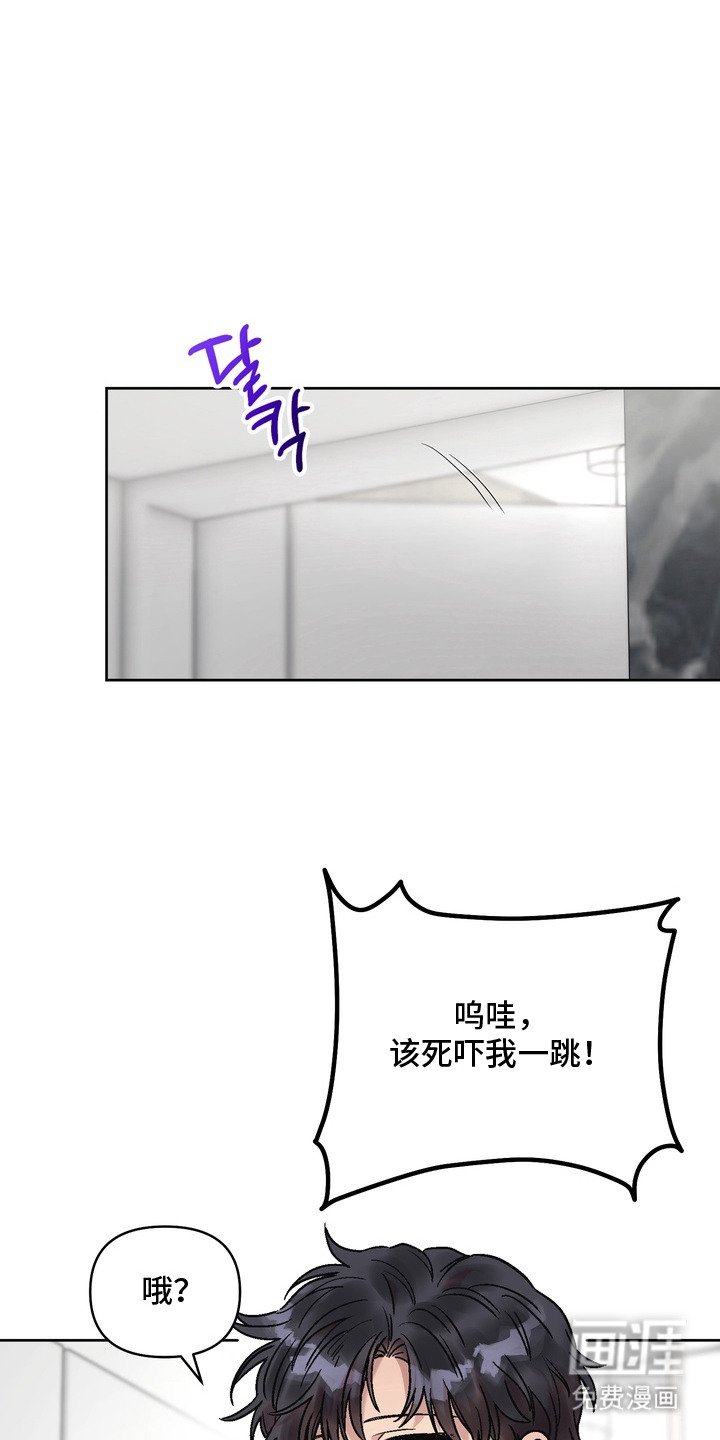 第5章：错觉