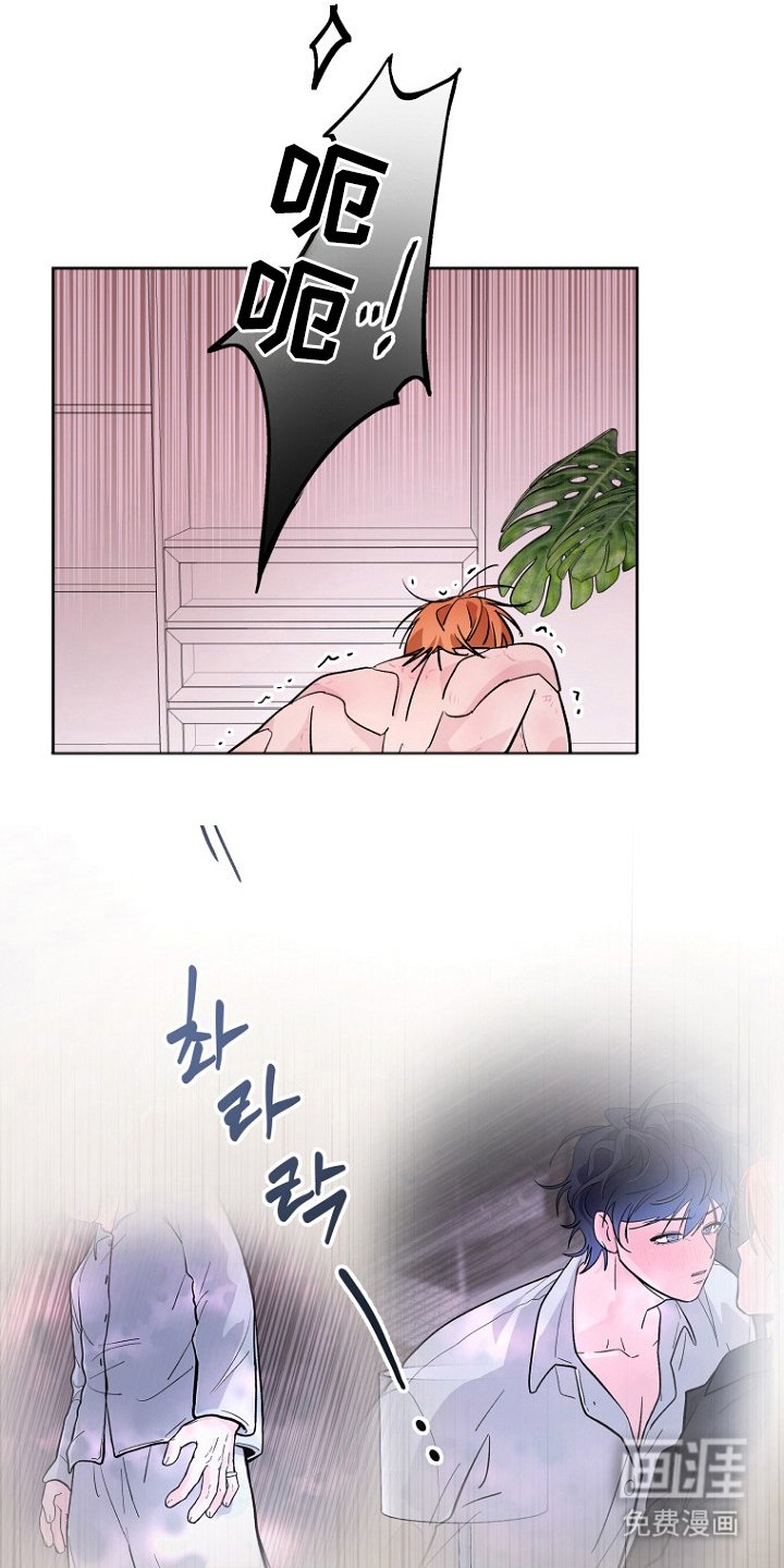 第12章：这是什么