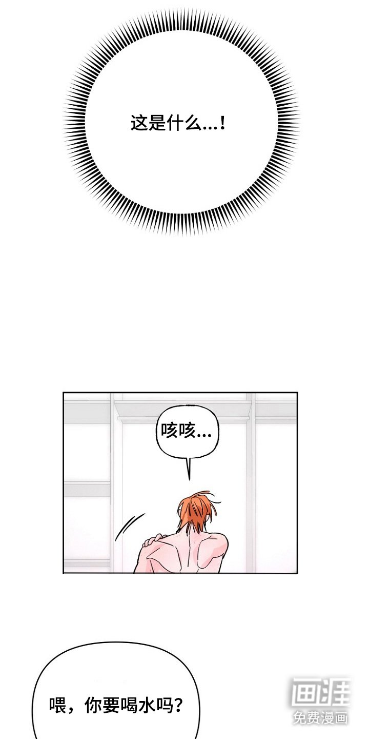 第12章：这是什么