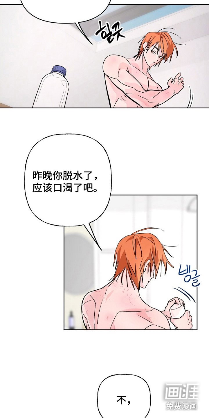 第12章：这是什么