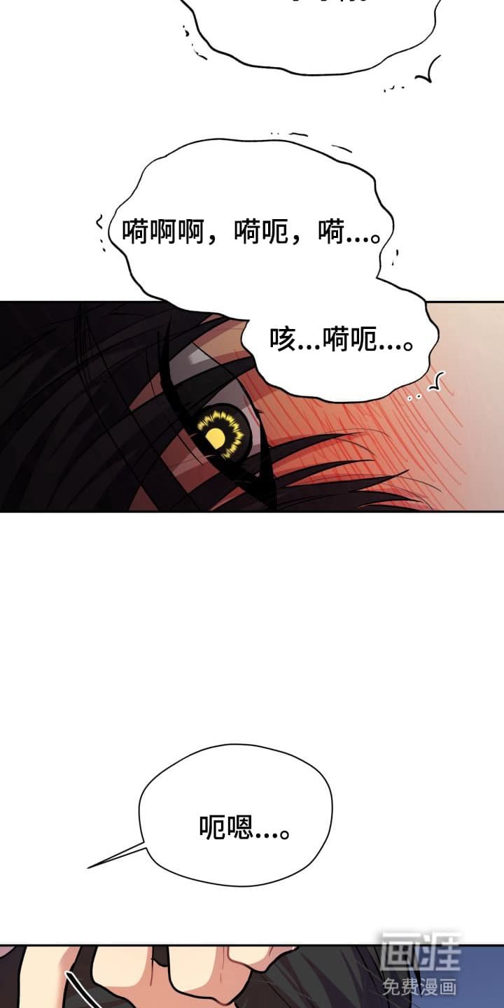 第10章：股掌之上：如何选择