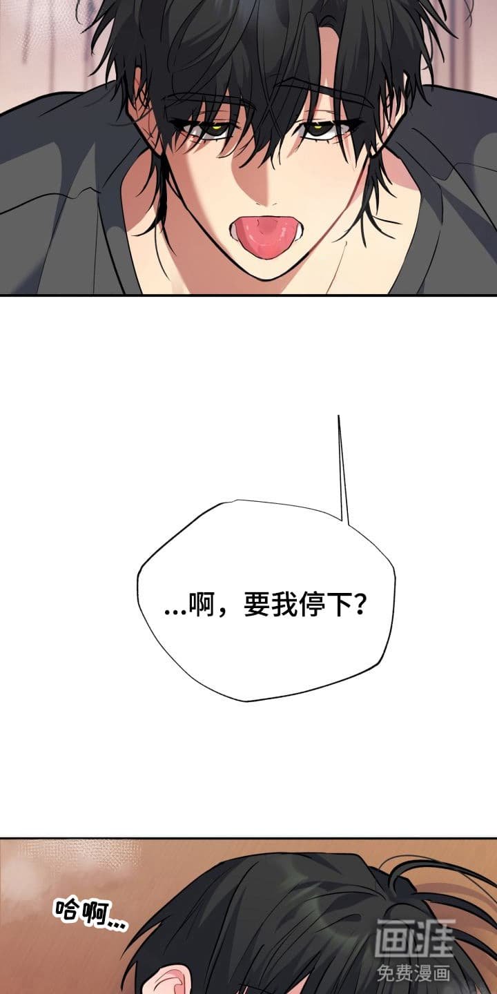 第11章：股掌之上：共同的秘密（完）