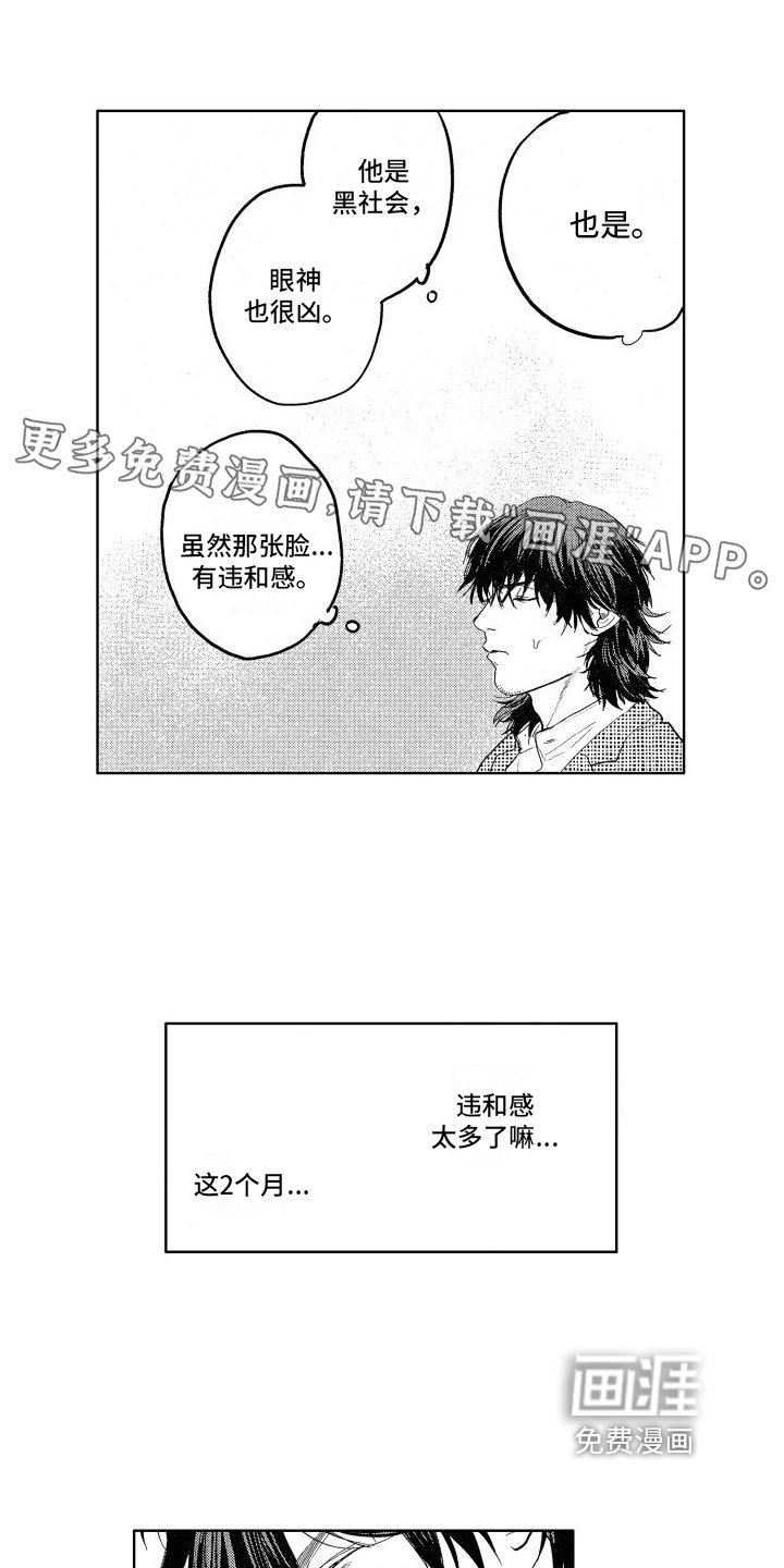 第11章：有情况
